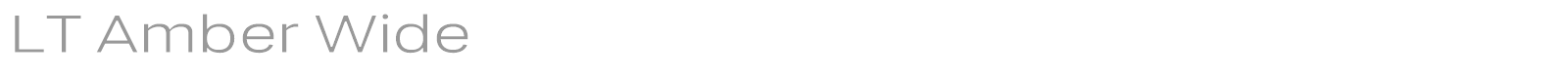LT Amber font preview